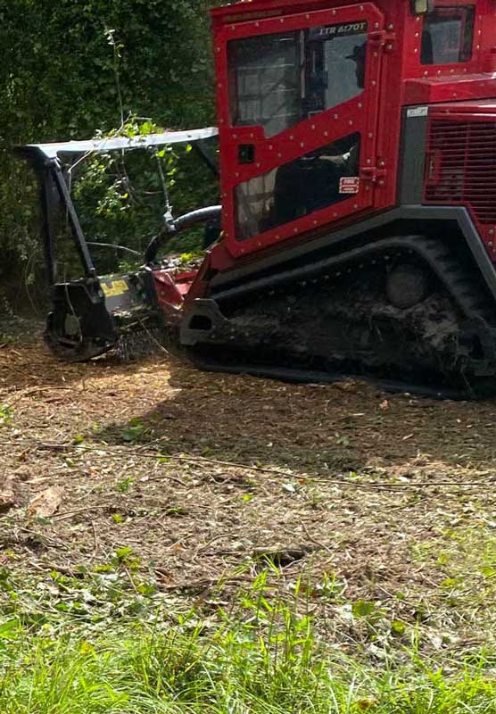 Forestry Mulcher starting a new driveway