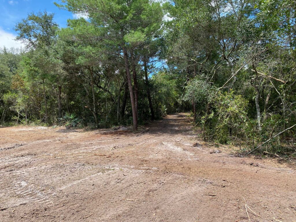 New driveway leading to cleared land