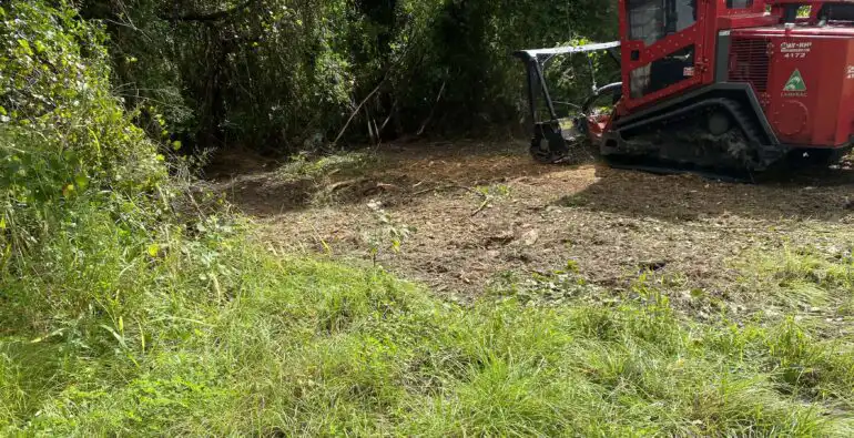Brush Removal Service