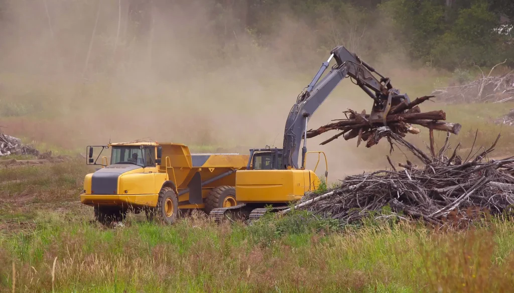 Tree Removal